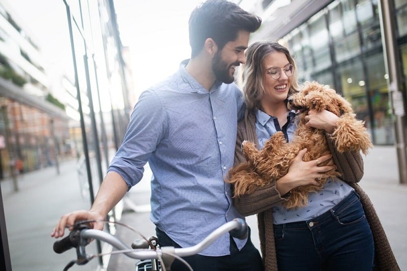 The best dating websites if you are searching for love